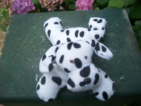 doudou chien 
